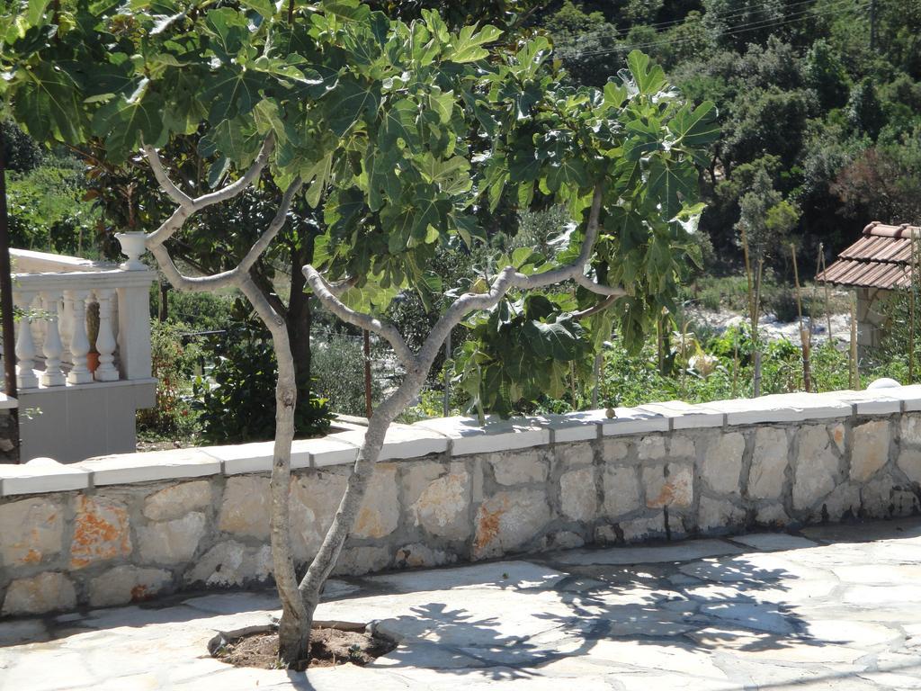 Villa Marica Neum Eksteriør billede